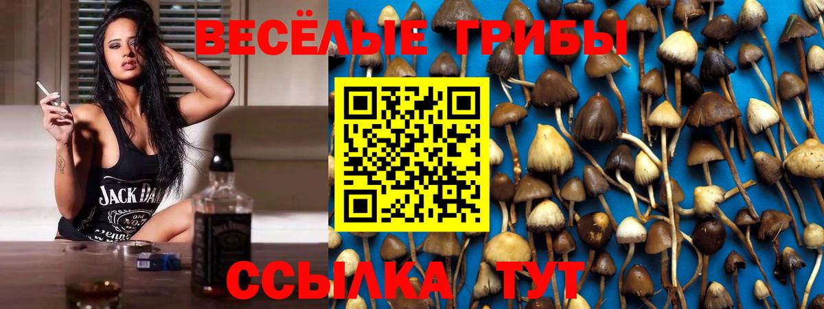 Галлюциногенные грибы прущие грибы  Псилоцибиновые грибы прущие грибы  Вход с VPN  Геленджик 